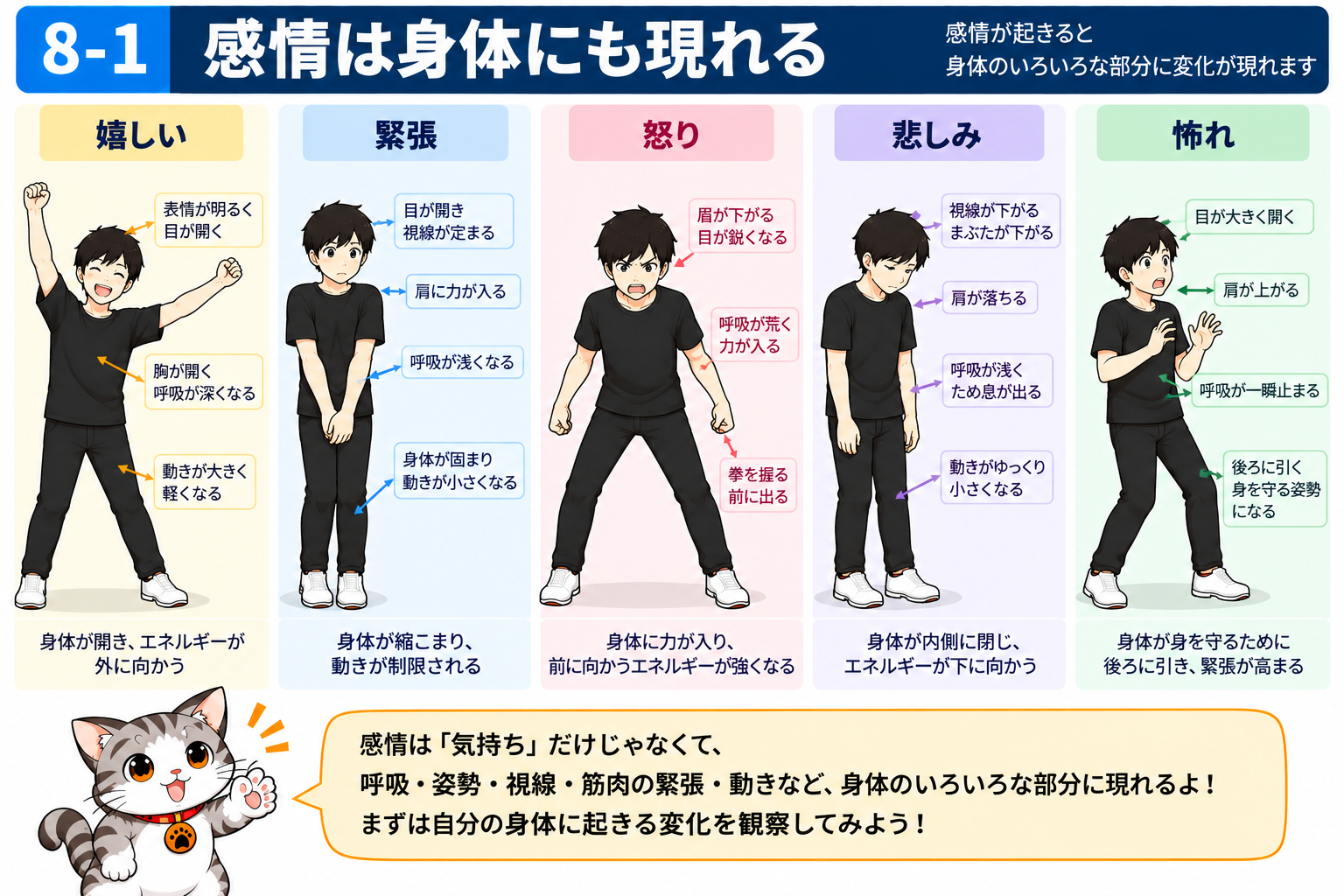 図説①