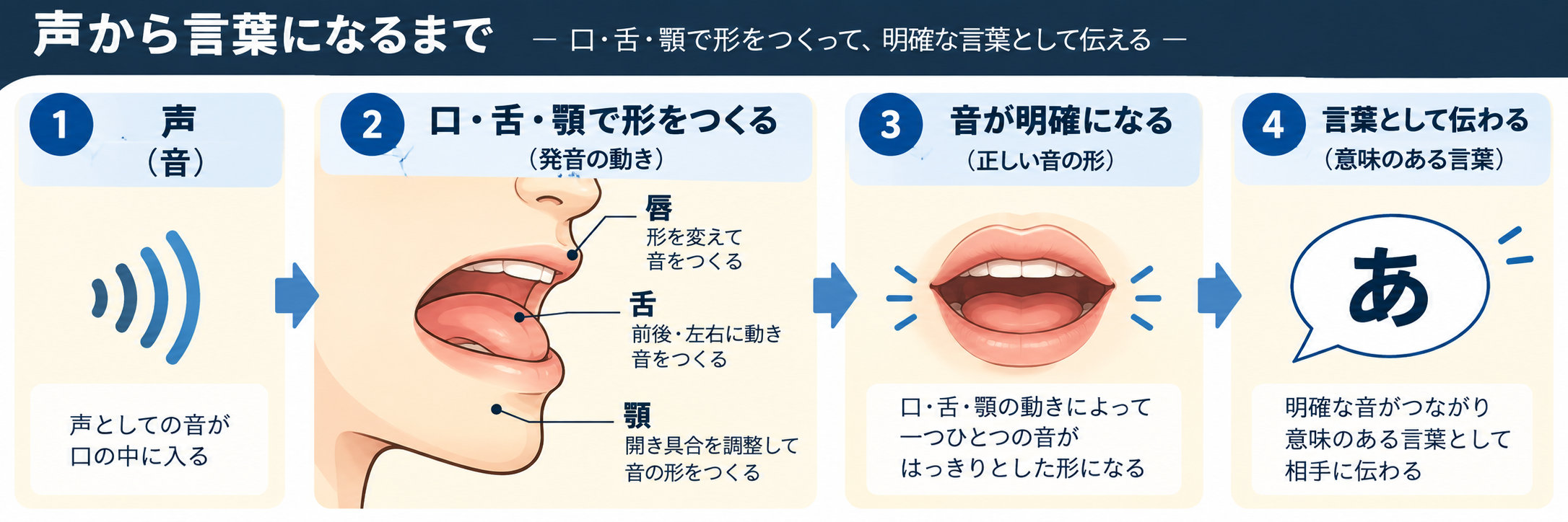 声を口・舌・顎で明確な言葉にしていく滑舌のしくみ