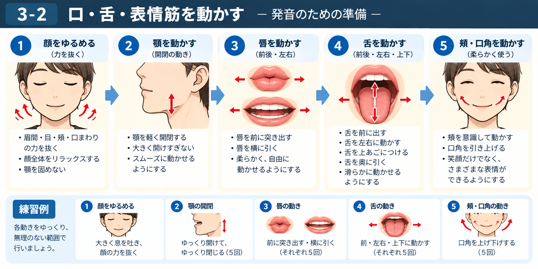 顔・顎・唇・舌・頬と口角を使った発音準備