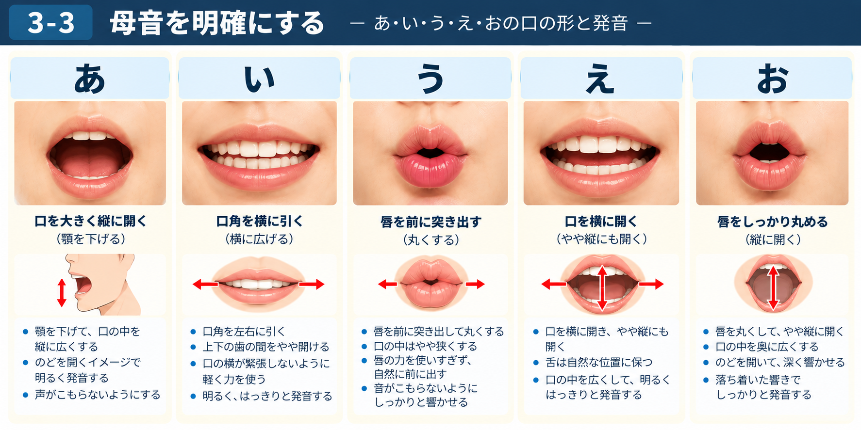 母音の発声と口の形を示す図説