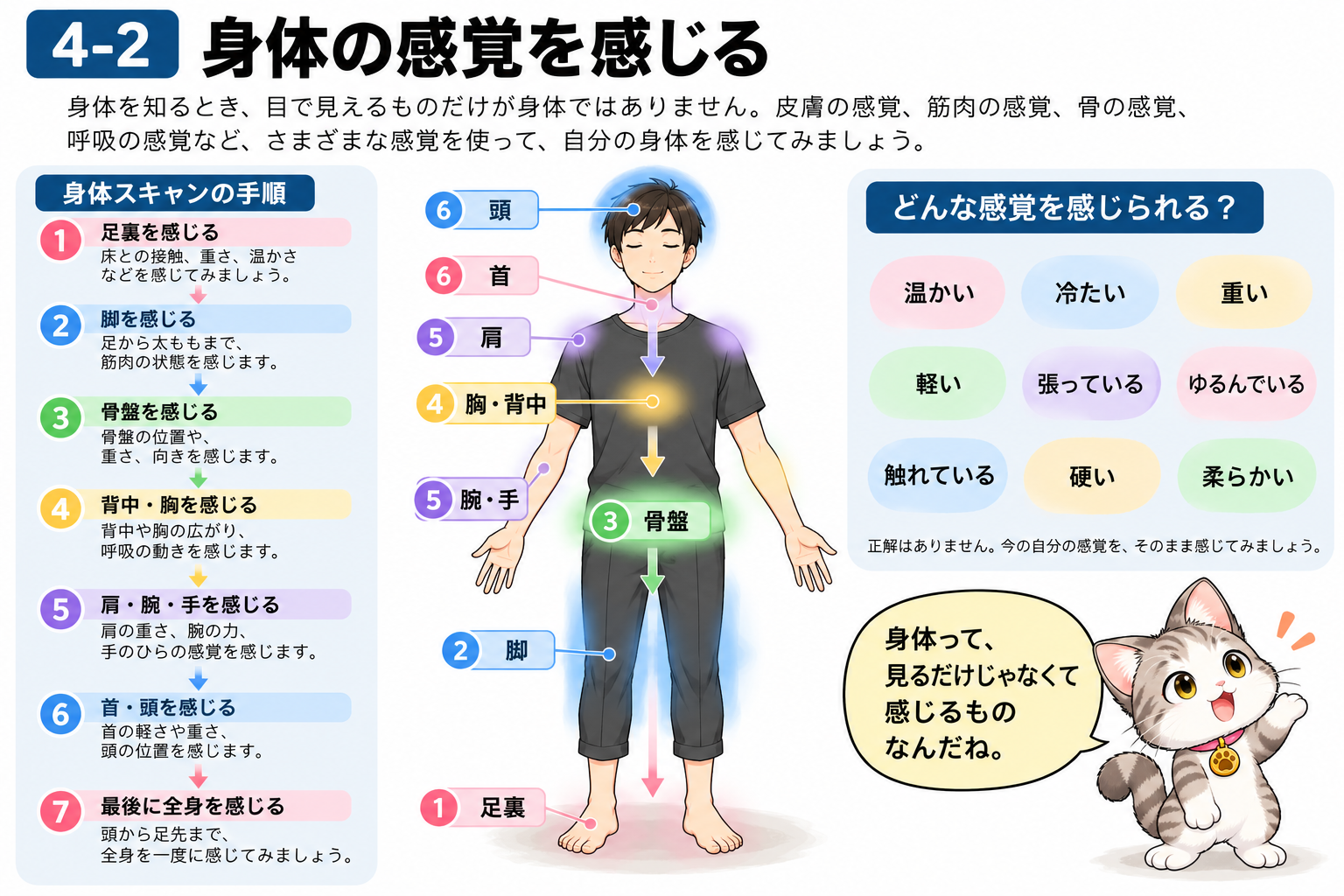図説②　身体を頭から足先まで感じてみる
