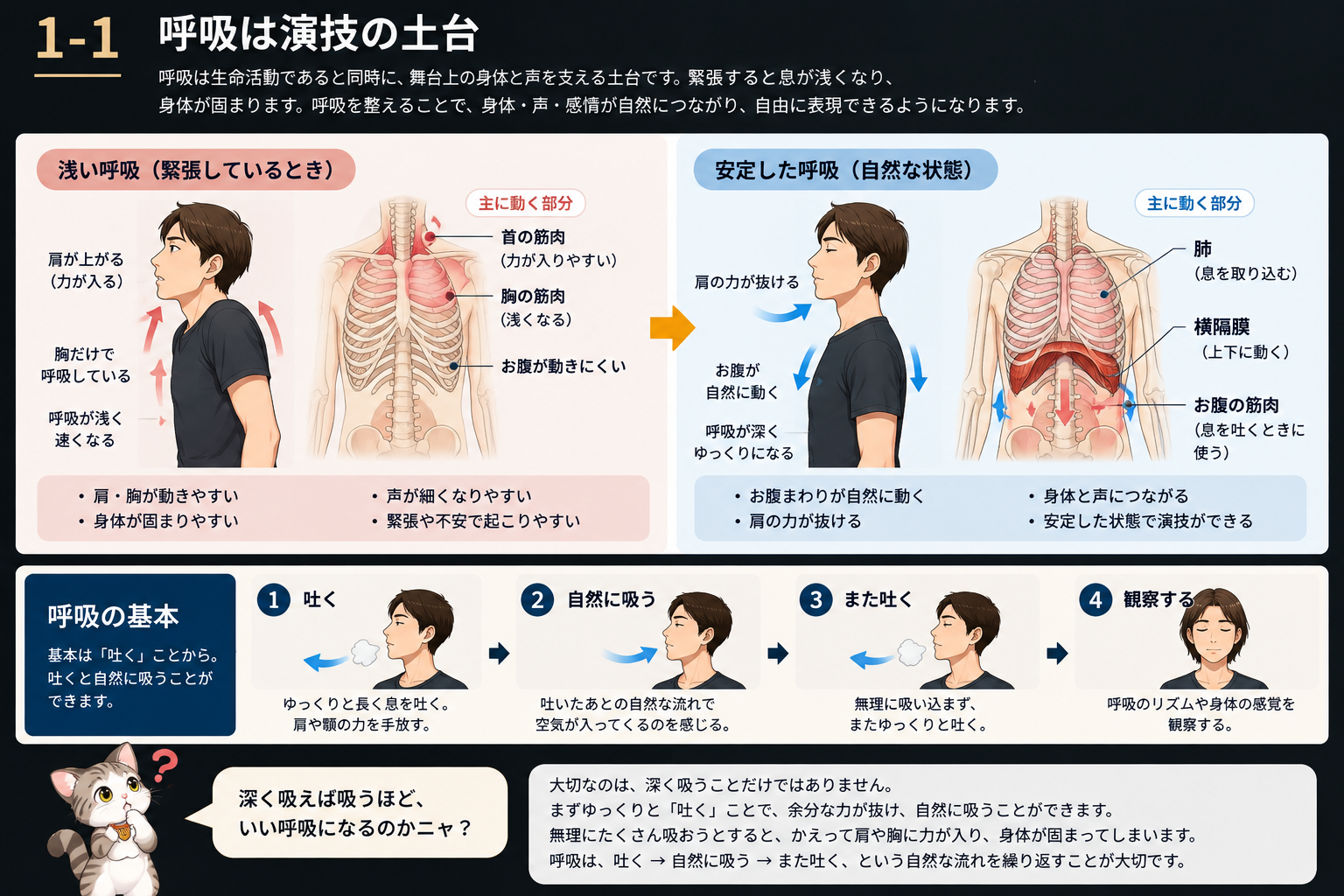 浅い呼吸と安定した呼吸、呼吸の基本を示す図説